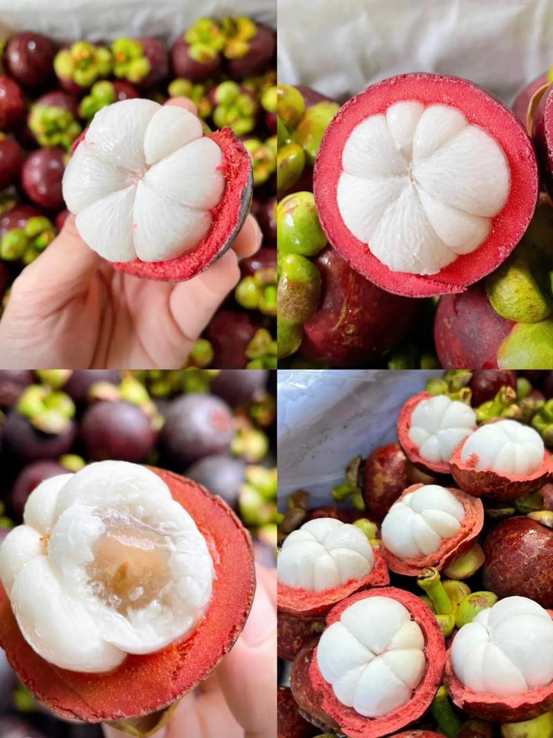 山竹哪个品种最好吃？-图2