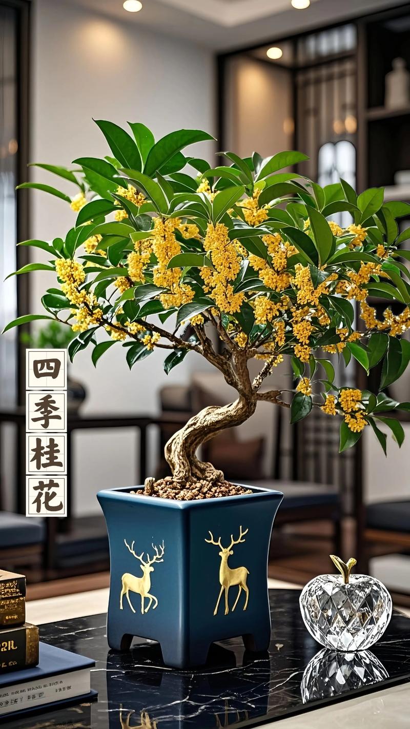 家庭养桂花选什么品种好？-图3