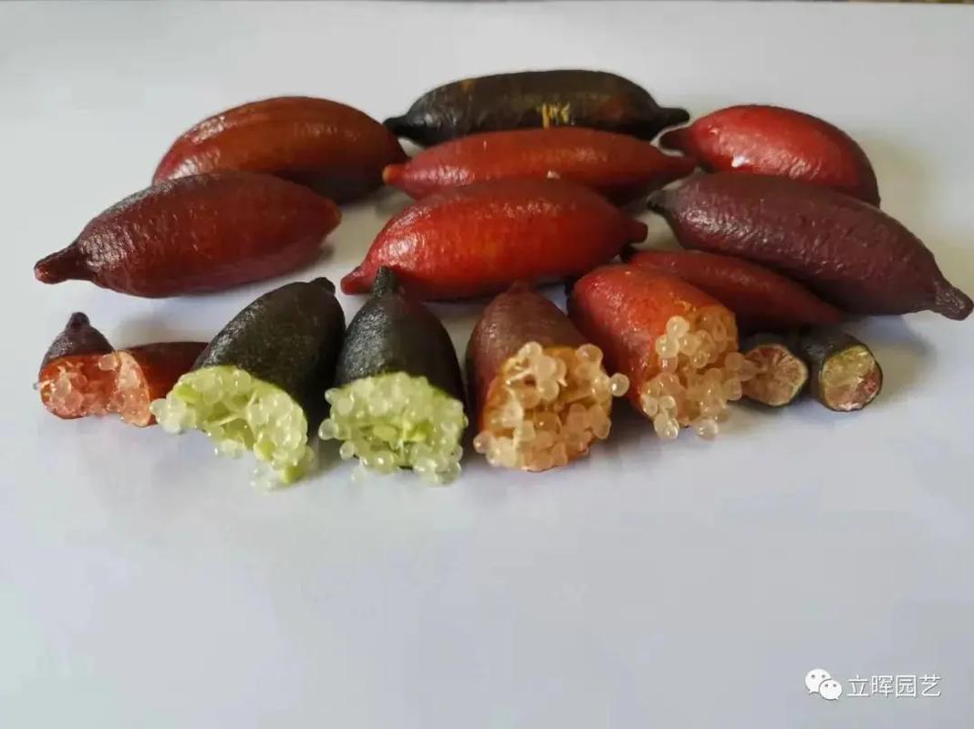 哪些水果适合家庭种植？-图2