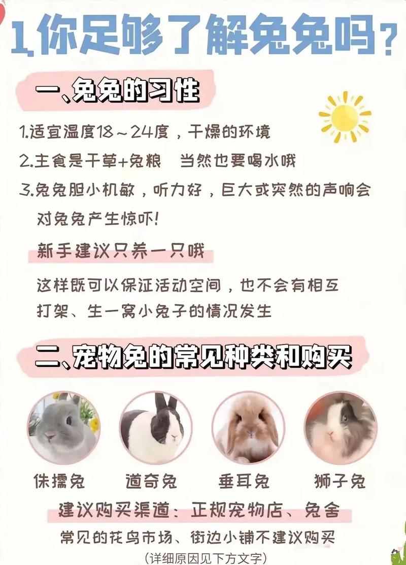 肉兔养殖成本与技术难点有哪些？-图1