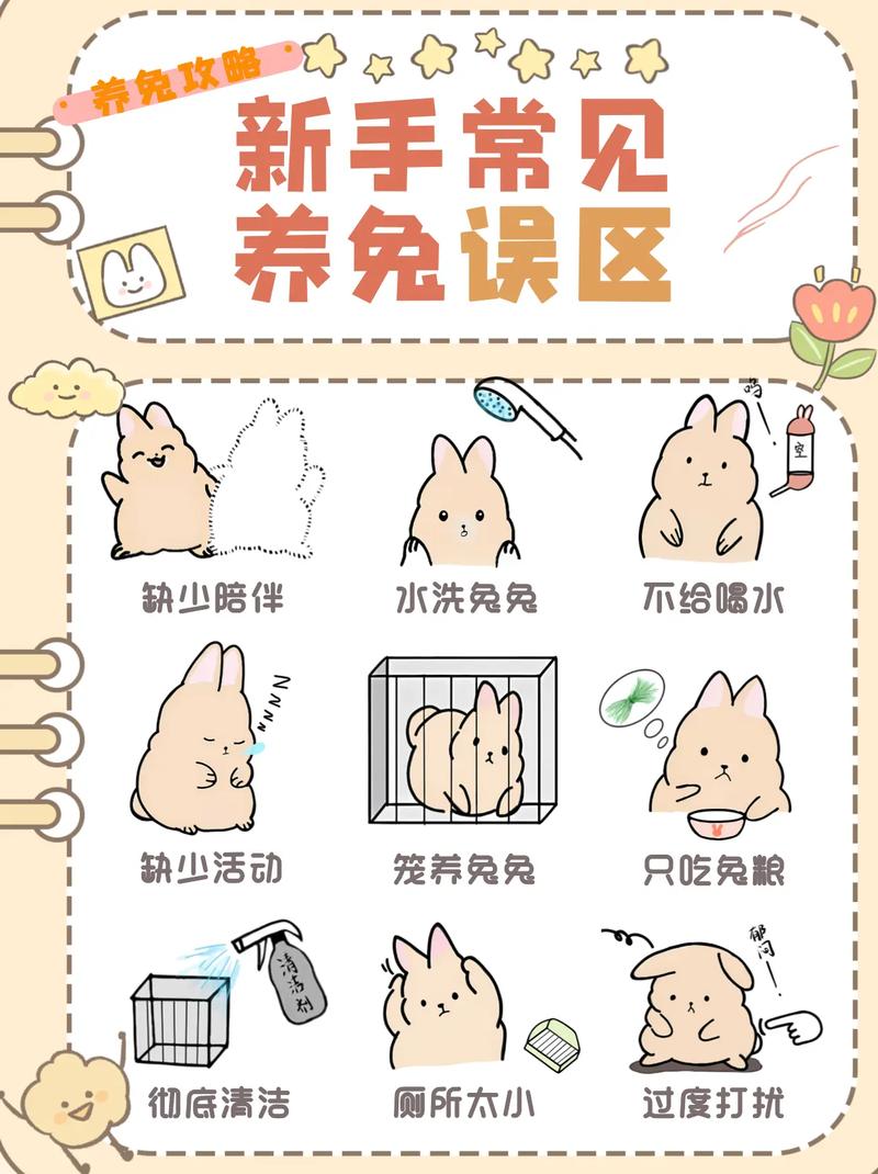 肉兔养殖成本与技术难点有哪些？-图2