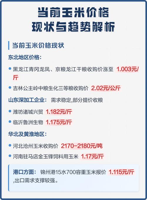 山东诸城玉米现在多少钱一斤？-图2