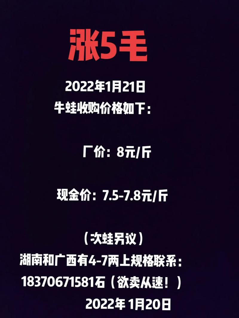 广东牛蛙价格现在多少钱一斤？-图1