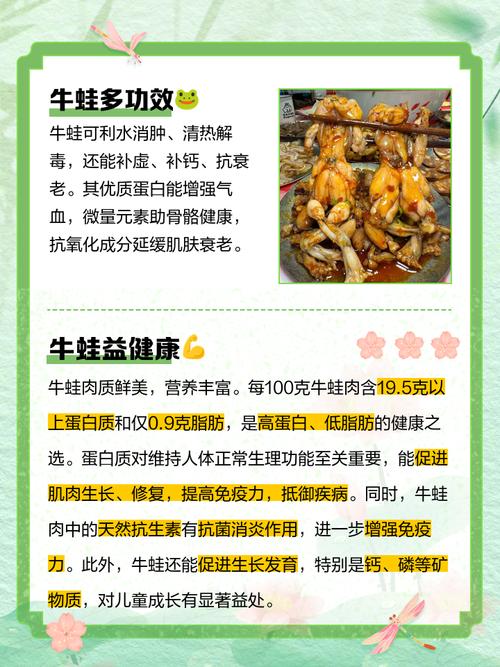 广东牛蛙价格现在多少钱一斤？-图3