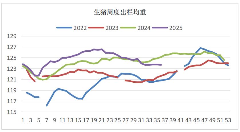 山东生猪价格将如何变动？-图1
