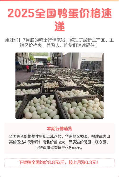 2025鸭蛋价格会涨还是跌？-图1