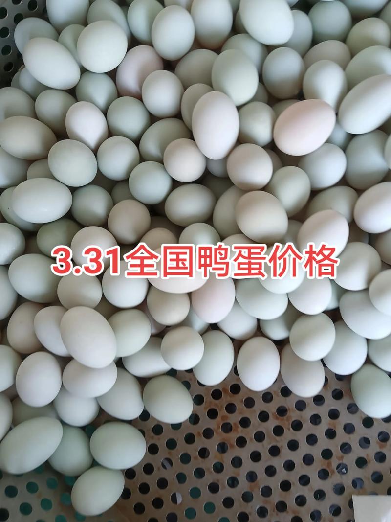 2025鸭蛋价格会涨还是跌？-图2