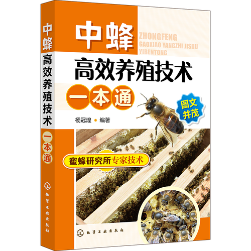 中华蜜蜂养殖技术有哪些关键要点？-图1