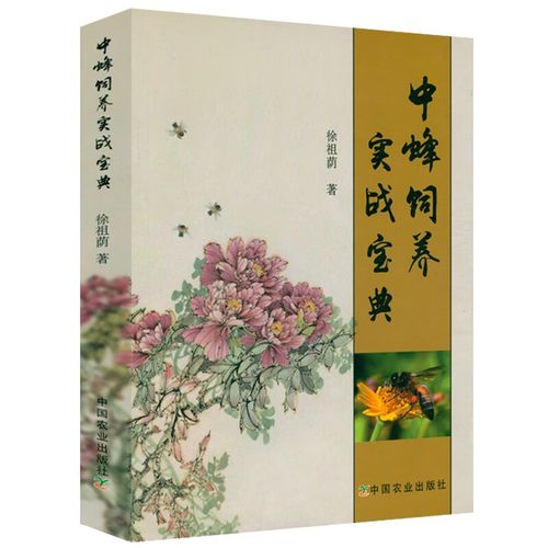 中华蜜蜂养殖技术有哪些关键要点？-图3