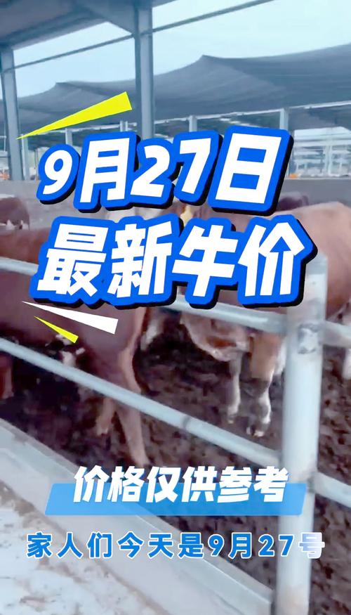 肉牛养殖前景如何？价格走势怎样？-图2