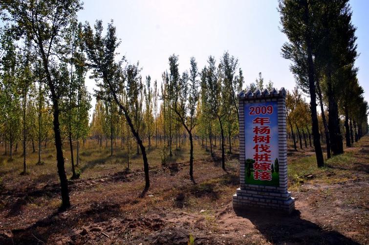 林地能随意更换品种吗？-图3