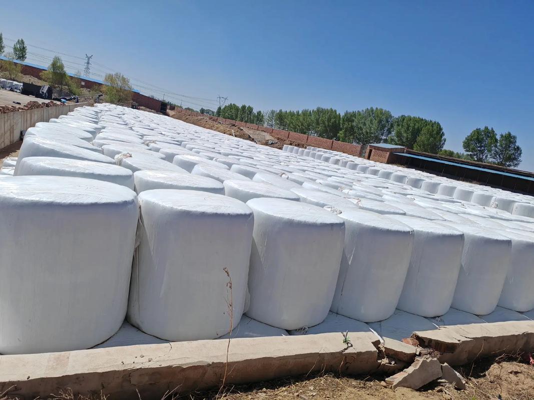 袋装青贮怎么做？视频教你关键技术！-图2