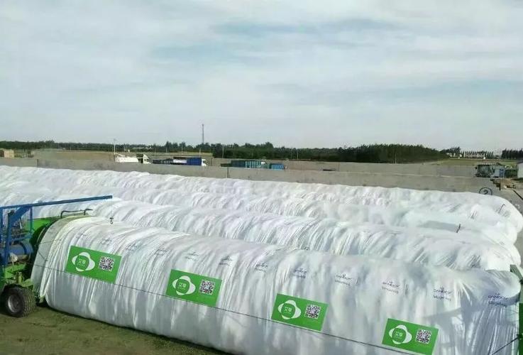 袋装青贮怎么做？视频教你关键技术！-图3