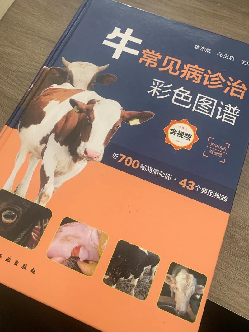 肉牛疾病防治技术有哪些实用要点？-图1