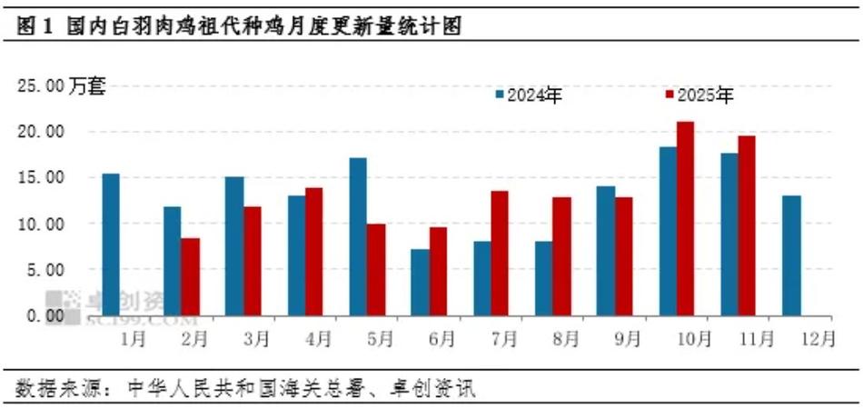 白羽鸡2025年价格-图2