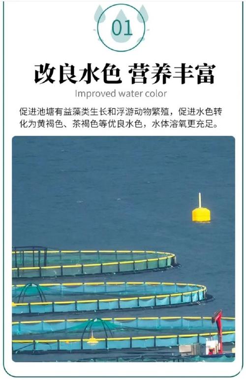 水产有机肥如何高效发酵？-图2